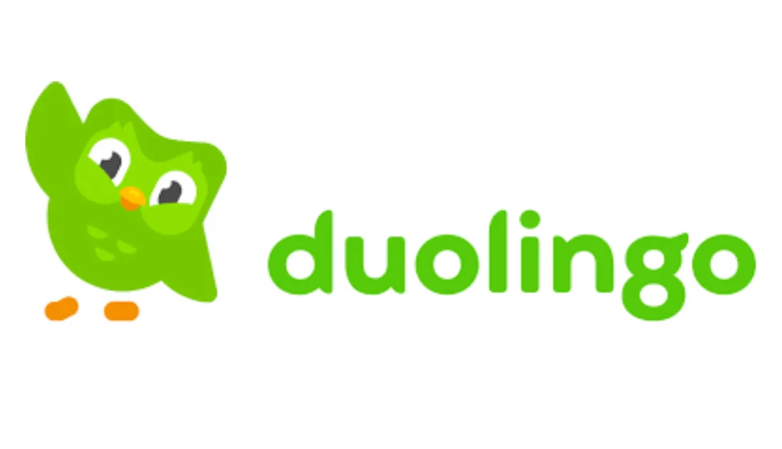 Examples of Branding - Duolingo